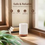 300ML Aromatherapy Diffuser with Essential Oils Set