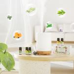 300ML Aromatherapy Diffuser with Essential Oils Set