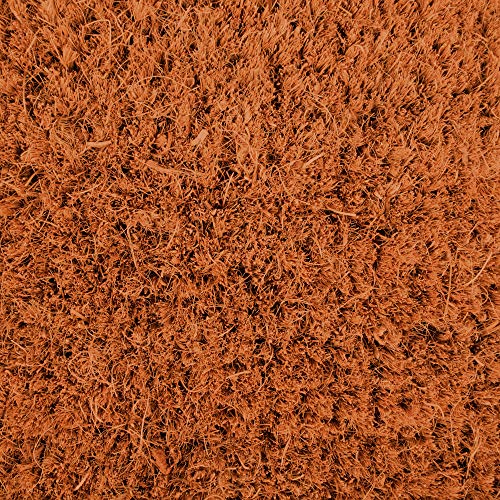 Thanksgiving Coir Doormat: Give Thanks Pumpkin, 17x29
