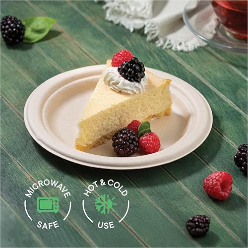 Eco-Friendly 9" Compostable Paper Plates (125-Pack)