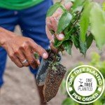 Ayurvedic Pure Copper Water Bottle - 1 Liter