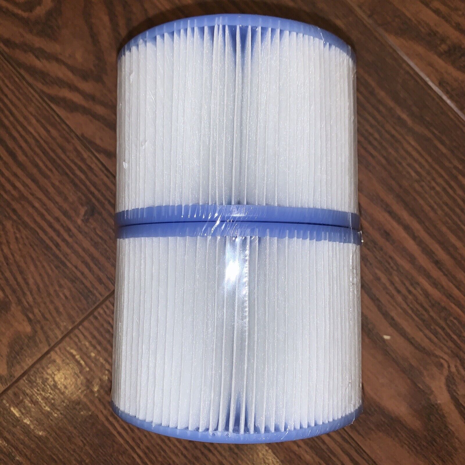 Intex PureSpa Filter Cartridge S1 Twin Pack
