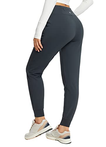 BALEAF Women's Fleece Lined Pants Water Resistant Winter Joggers Thermal Sweatpants for Running Hiking Gray S