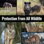 Mace Bear Spray with Holster - Max Strength 20% OC