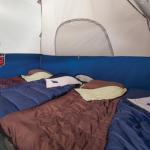 Coleman Sundome Tent - Quick Setup, Weatherproof