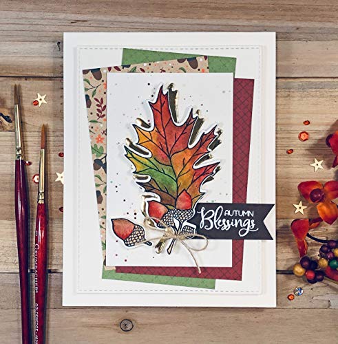 Thanksgiving Give Thanks Religious Stamp Set - 4x6