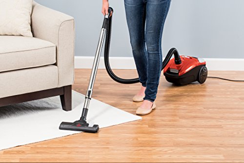 BISSELL Canister Vacuum Cleaner - Zing Bagged