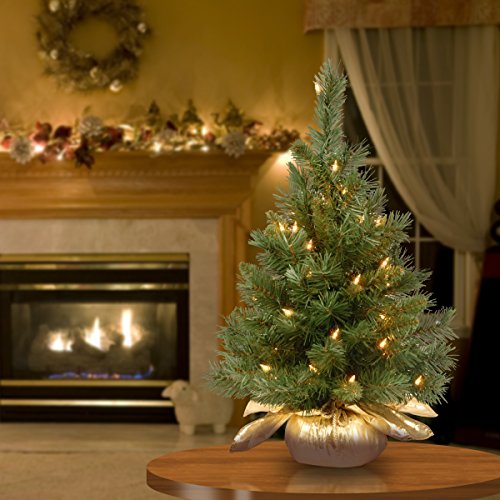 24" Majestic Fir Tree with Clear Lights for Christmas