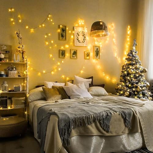 100 LED Warm White Christmas String Lights