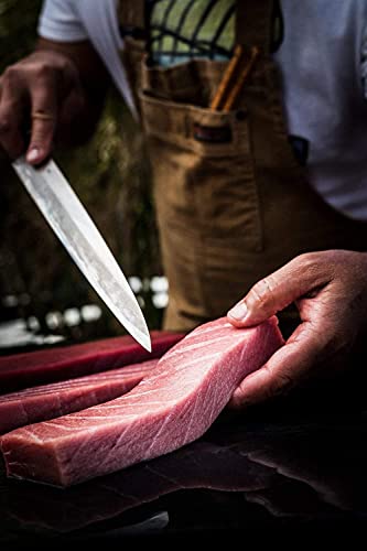 Fresh Bluefin Tuna Otoro 8oz | Sushi Grade