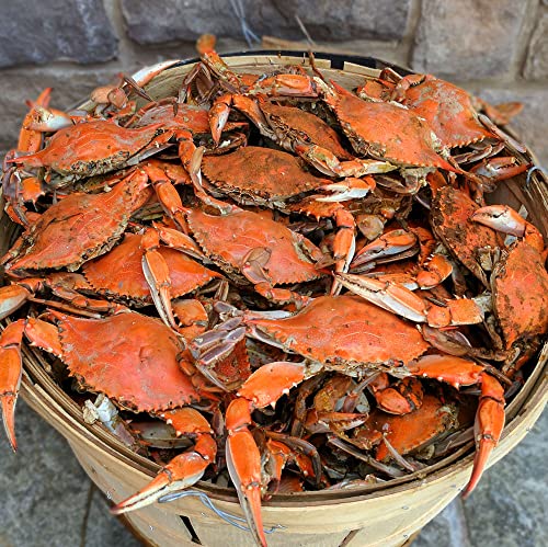 Maryland Blue Crabs Males Jimmys - Steamed (1 Dozen)