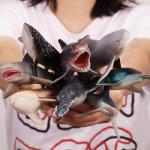 8 Realistic Shark Figures with Educational Booklet