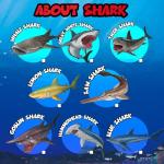 8 Realistic Shark Figures with Educational Booklet