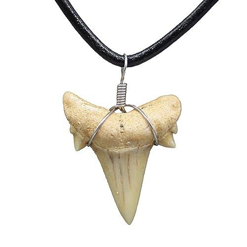 Shark Tooth Necklaces for All Ages