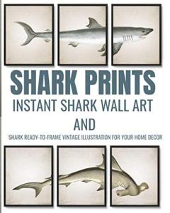 Shark Prints Vintage Wall Art for Home Decor