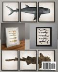 Shark Prints Vintage Wall Art for Home Decor