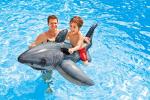 Intex Colorful Shark Ride-On Inflatable Float