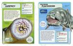Sharks and Deadly Ocean Creatures: Visual Guide