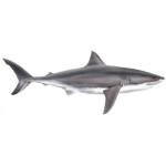 Great White Shark Ceramic Coffee Mug 11 oz