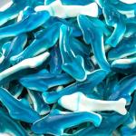 Blue Raspberry Shark Gummies - 11oz Bag