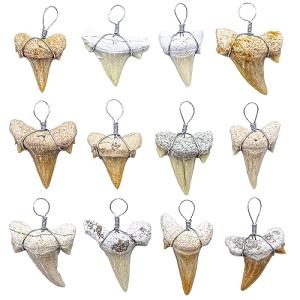 Shark Tooth Pendants for Jewelry Making, 12 Pack