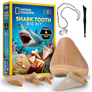 Shark Tooth Dig Kit for Kids: Fossil Fun