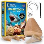 Shark Tooth Dig Kit for Kids: Fossil Fun