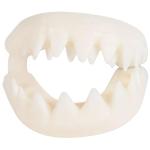 Great White Shark Teeth by Rhode Island Novelty