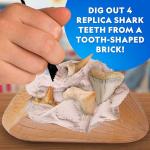 Shark Tooth Dig Kit for Kids: Fossil Fun