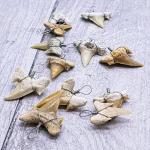 Shark Tooth Pendants for Jewelry Making, 12 Pack