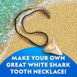 Shark Tooth Dig Kit for Kids: Fossil Fun