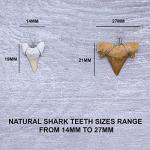 Shark Tooth Pendants for Jewelry Making, 12 Pack