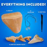Shark Tooth Dig Kit for Kids: Fossil Fun