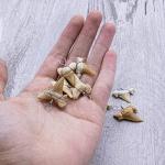 Shark Tooth Pendants for Jewelry Making, 12 Pack
