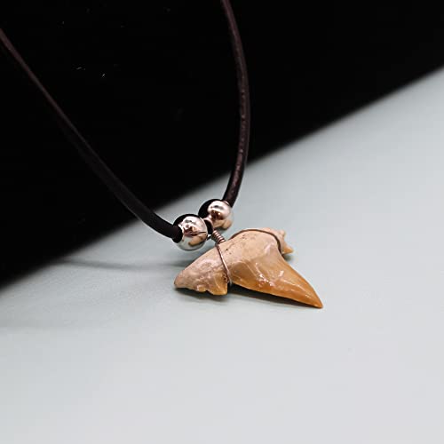 Shark Tooth Necklaces for All Ages