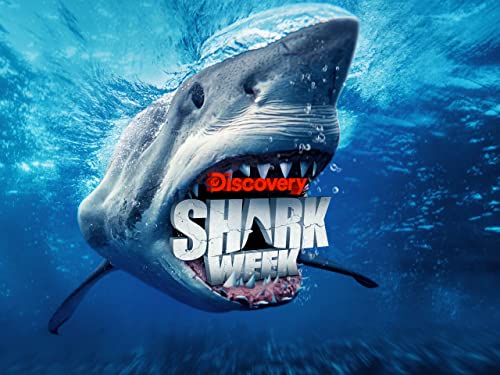 Shark Week 2022 Trailer