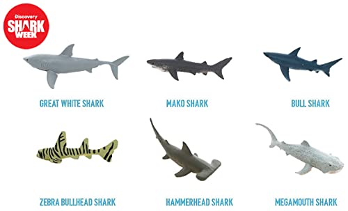 20-Piece Premium Shark Toy Collection