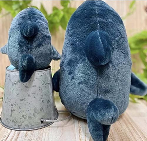 Shark Cat Plush Toy - Cute & Soft!