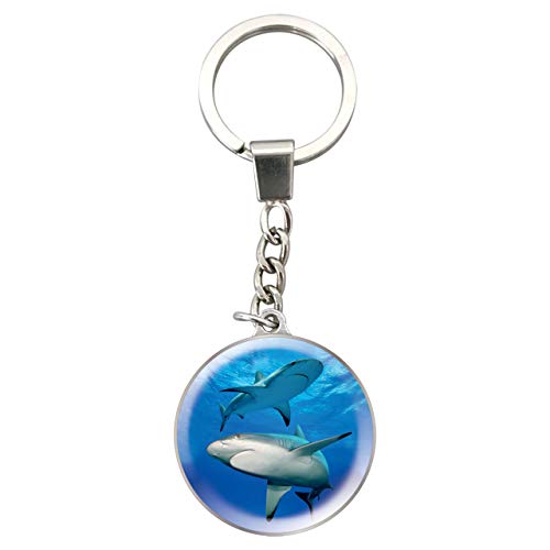 Shark Picture Dome Keychain with Steel Chain