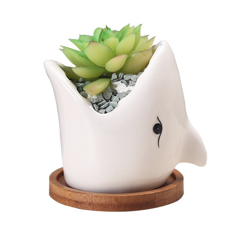 Ceramic Shark Flowerpot: Modern Home Decor