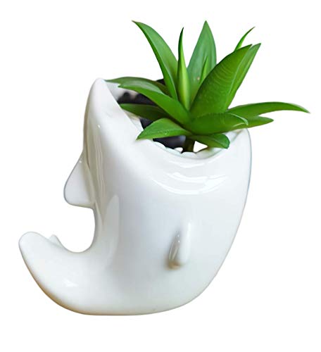 Shark Ceramic Succulent Pots (White)