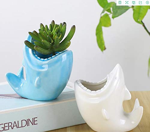 Shark Ceramic Succulent Pots (White)