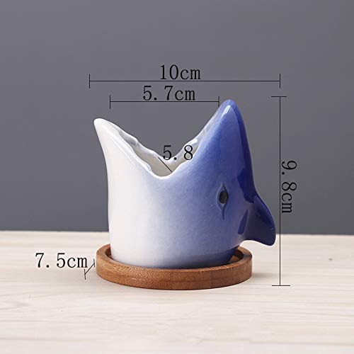 Blue Shark Succulent Planter with Bamboo Stand