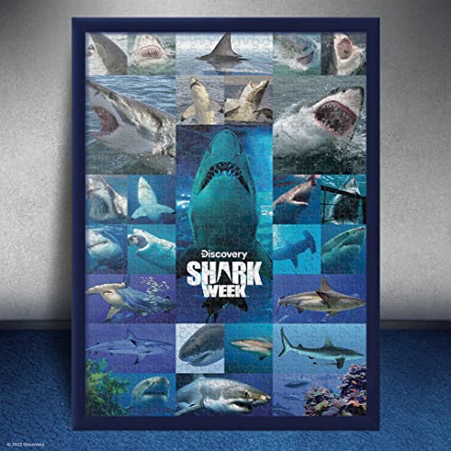 Discovery Channel Shark Week Puzzle & Collectible Artwork