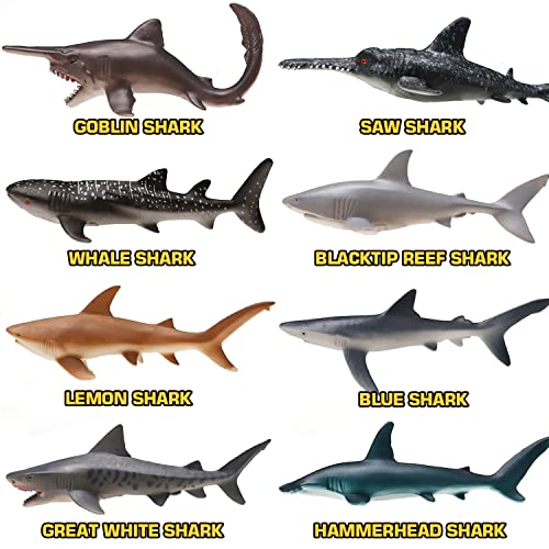 8 Realistic Shark Figures with Educational Booklet