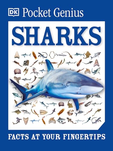Shark Facts at Your Fingertips