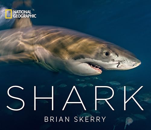 Shark Bite: Sleek Design for Shark Lovers