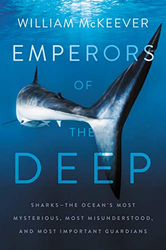 Guardians of the Deep: Sharks Unveiled and Celebrated