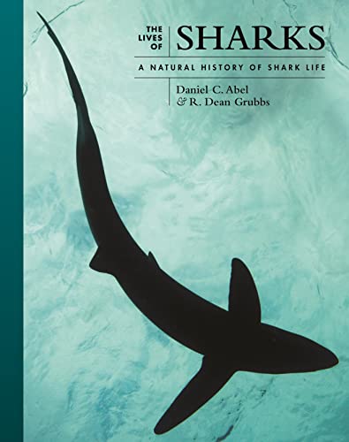 Shark Life: The Lives of Sharks in Nature