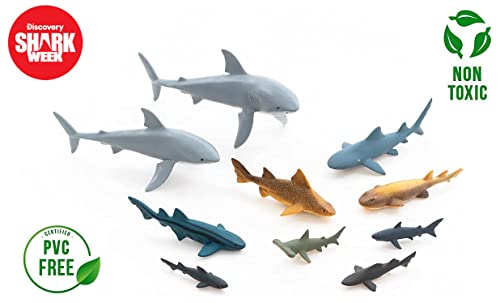 20-Piece Premium Shark Toy Collection